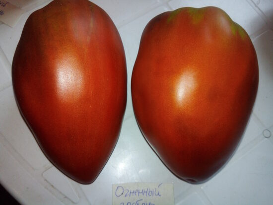 Огненный гребень